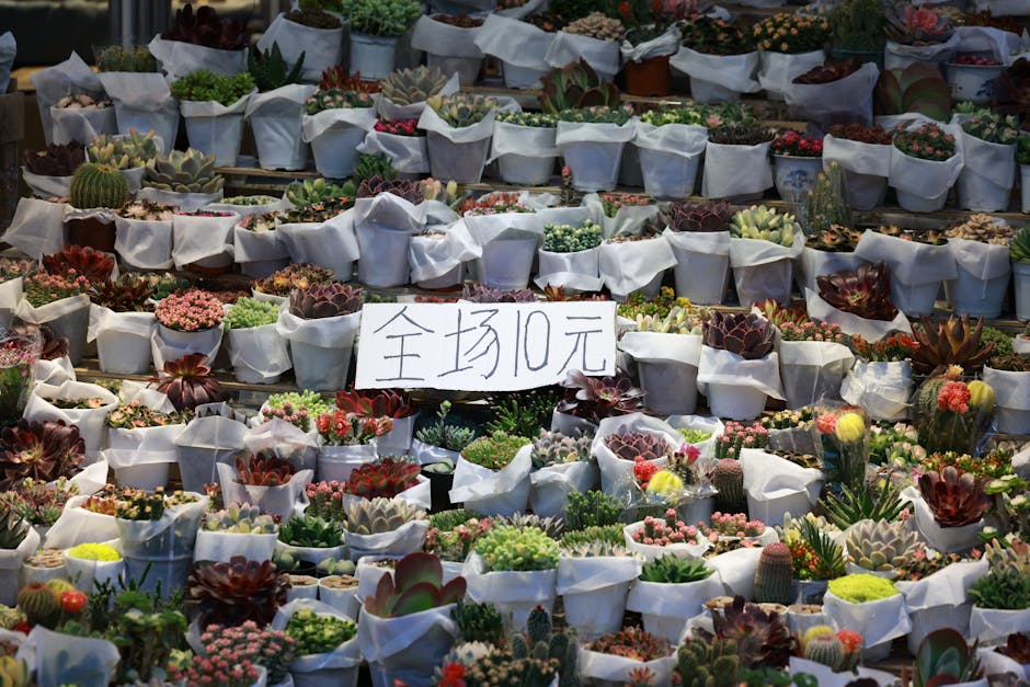 Mobile Expense Tracking Interface